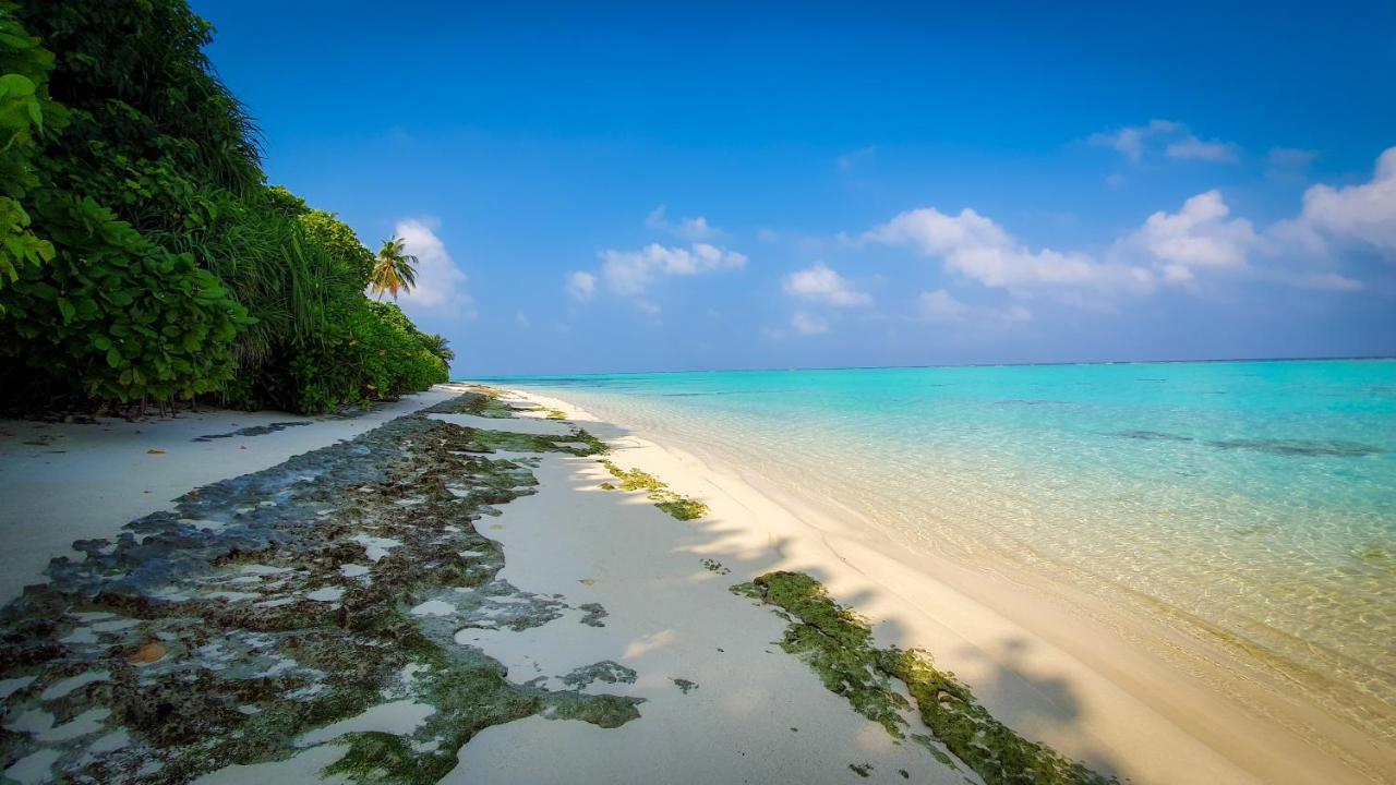 New Breeze Thoddoo Inn Exterior foto